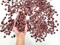 Small Tumbled Wine Quartz Crystals - 1/4 inch to 1 inch - Bulk Tumbled Stones